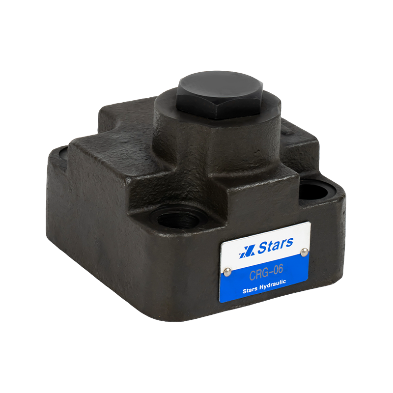 Angle Check Valve